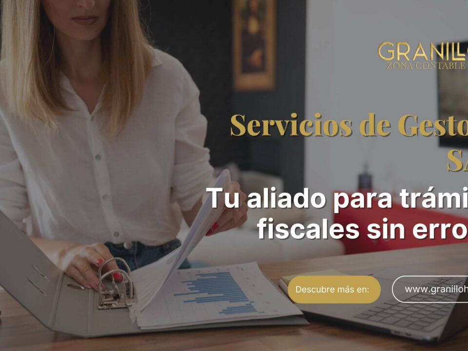 Servicios de gestioria SAT